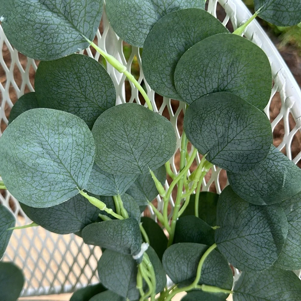New 6 foot of silver dollar eucalyptus garland (5) available!